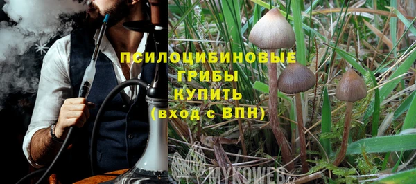 гидропоника Балахна