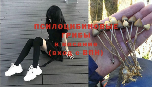 а пвп мука Баксан