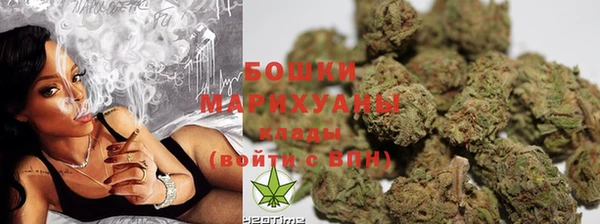 индика Белоозёрский
