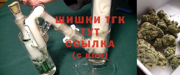 индика Белоозёрский