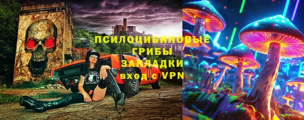 круглые Белокуриха