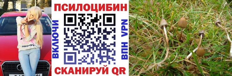 Псилоцибиновые грибы ЛСД  Невель 